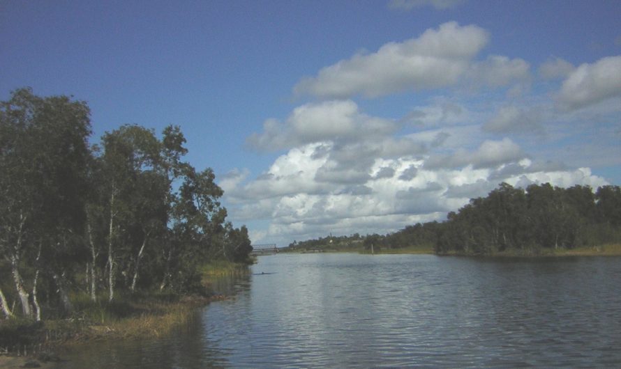 Promenade sur le canal des Pangalanes (Madagascar)