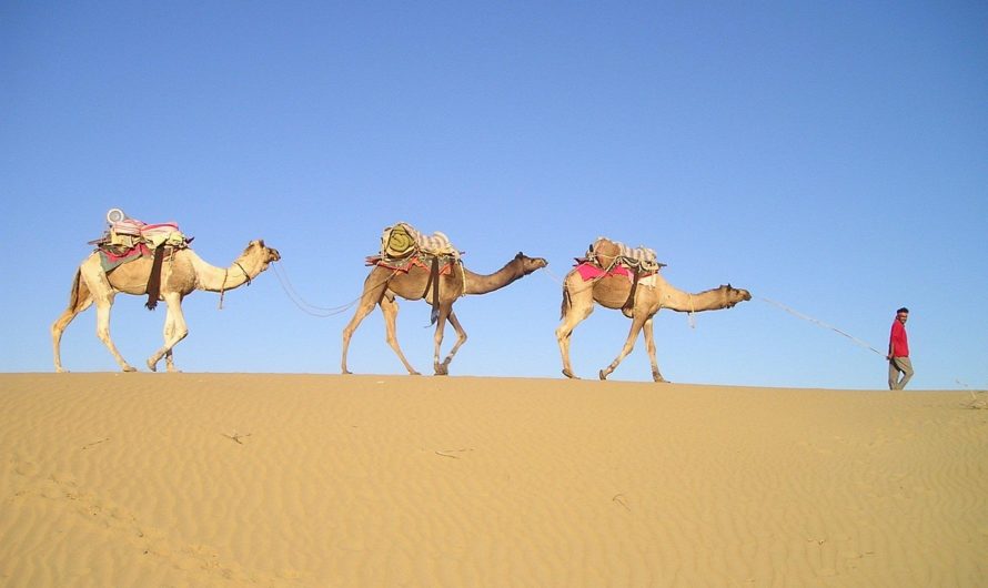 Houthis qu’il est ?